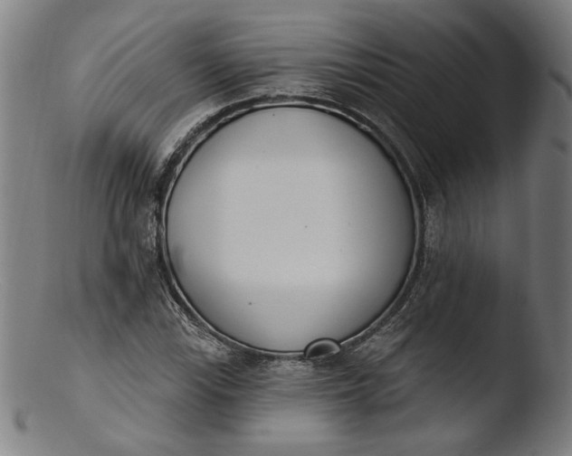 X0000103401115200809261613