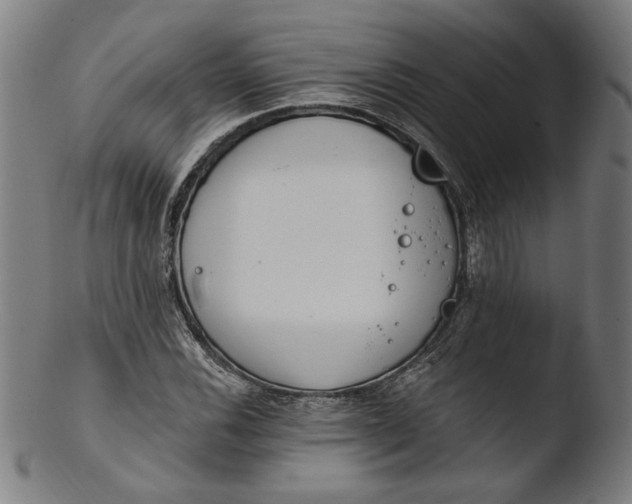 X0000103401116200809261613