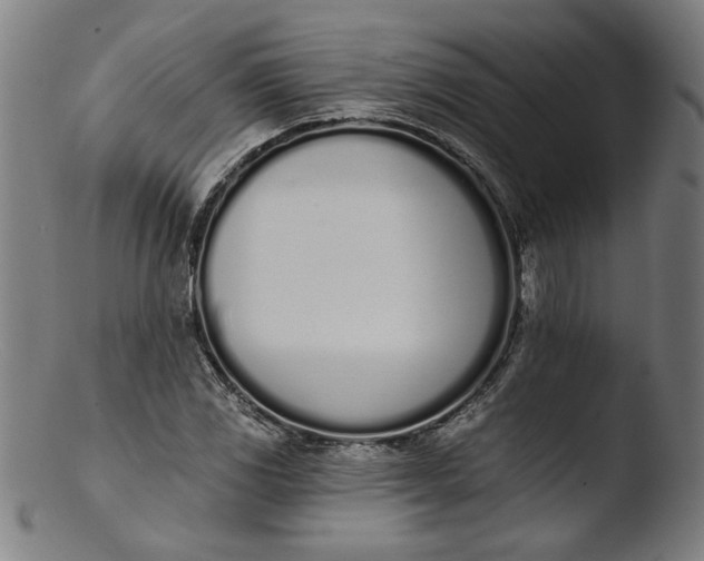 X0000103401117200809261613