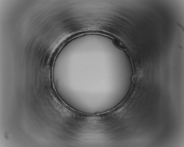 X0000103401118200809261613