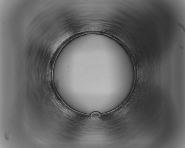 X0000103401119200809261613