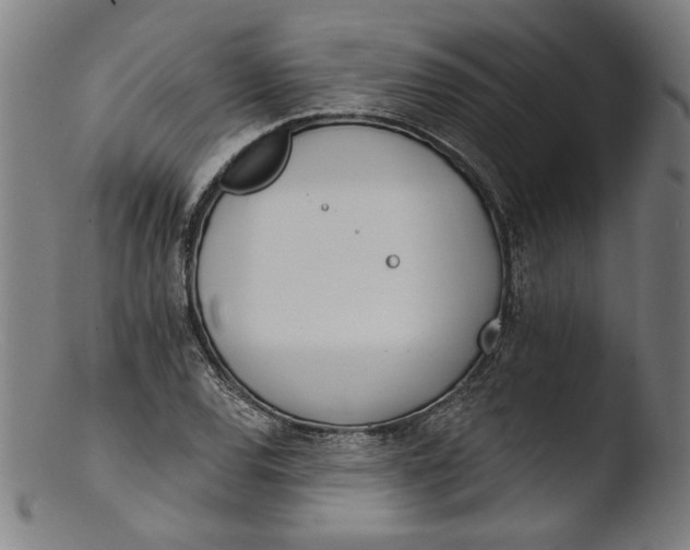 X0000103401120200809261613