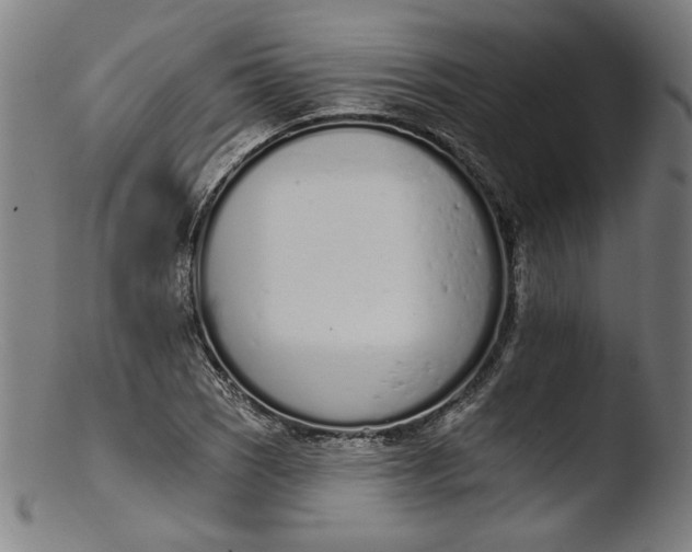 X0000103401121200809261613