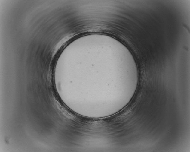 X0000103401122200809261613