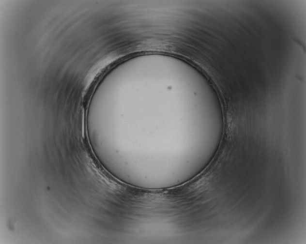 X0000103401123200809261613