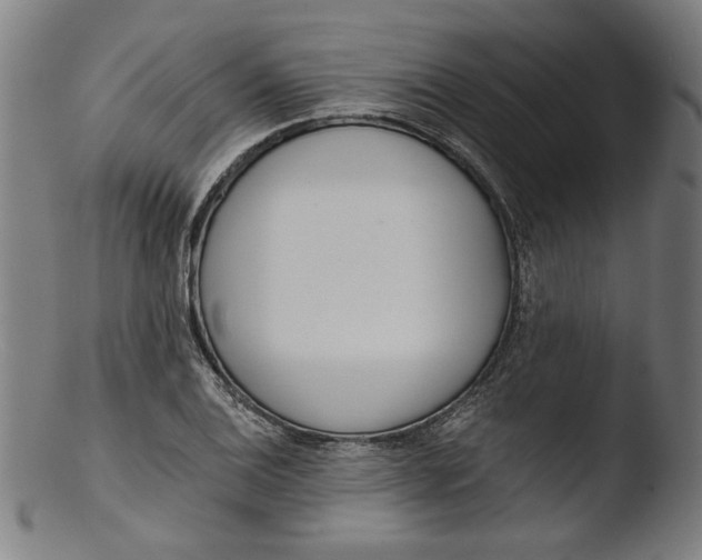 X0000103401124200809261613