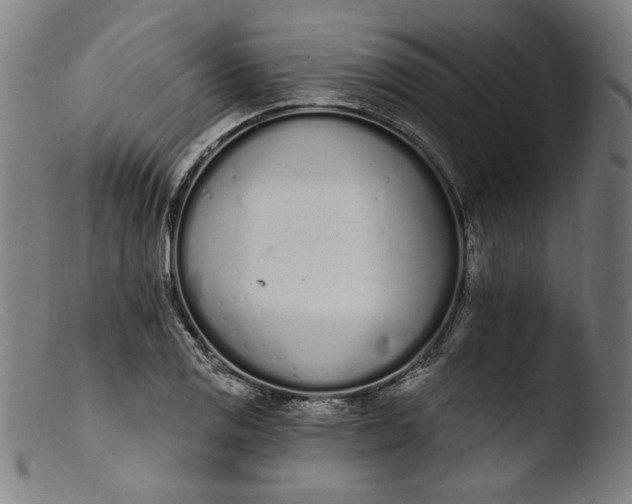 X0000103401125200809261613