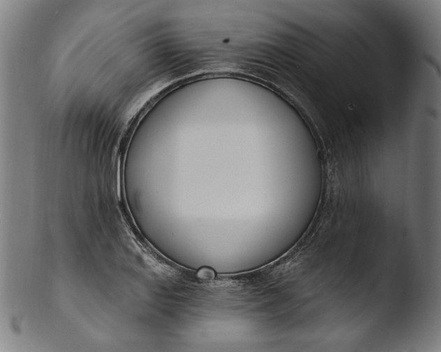 X0000103401127200809261613