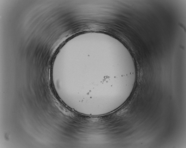 X0000103401130200809261613