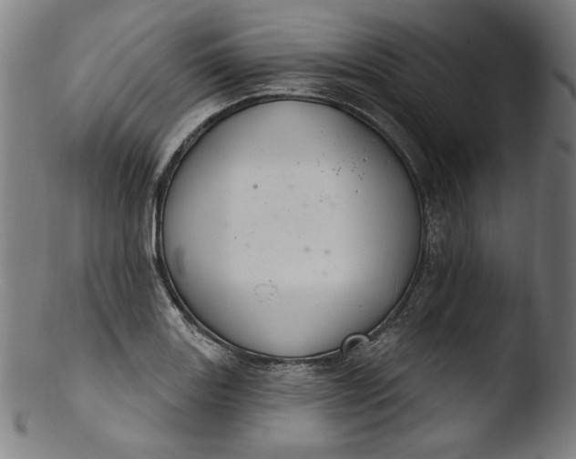 X0000103401131200809261613