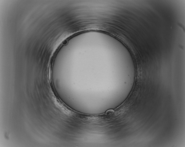 X0000103401132200809261613