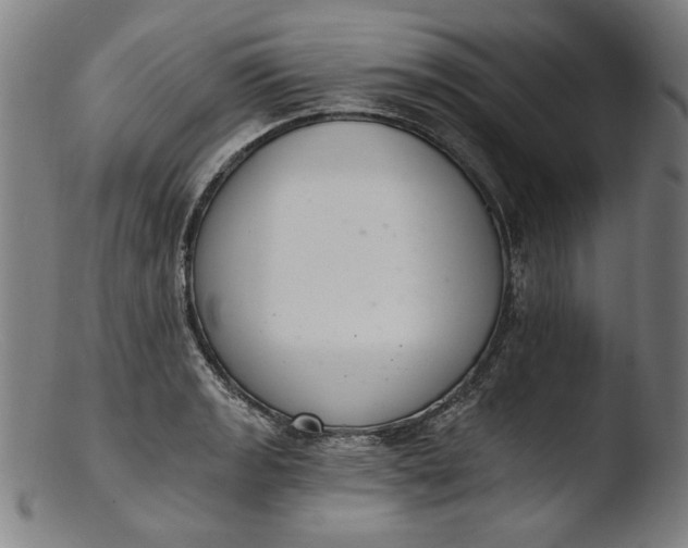 X0000103401133200809261613