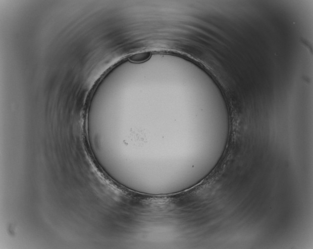 X0000103401134200809261613