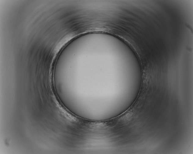 X0000103401135200809261613