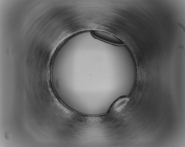 X0000103401136200809261614