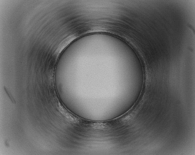 X0000103401137200809261614