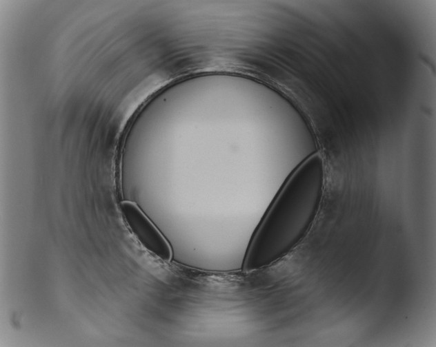 X0000103401138200809261614