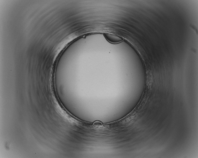 X0000103401139200809261614