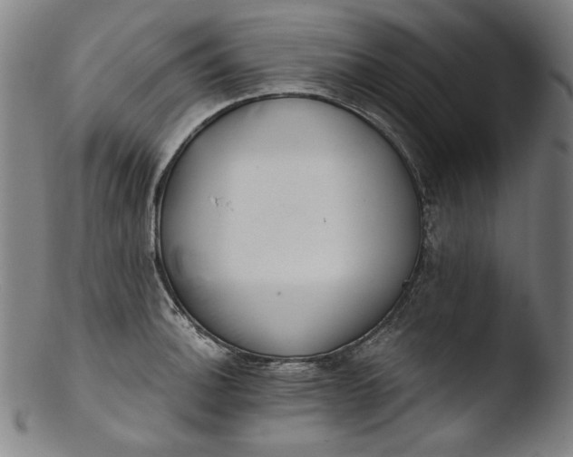 X0000103401140200809261614