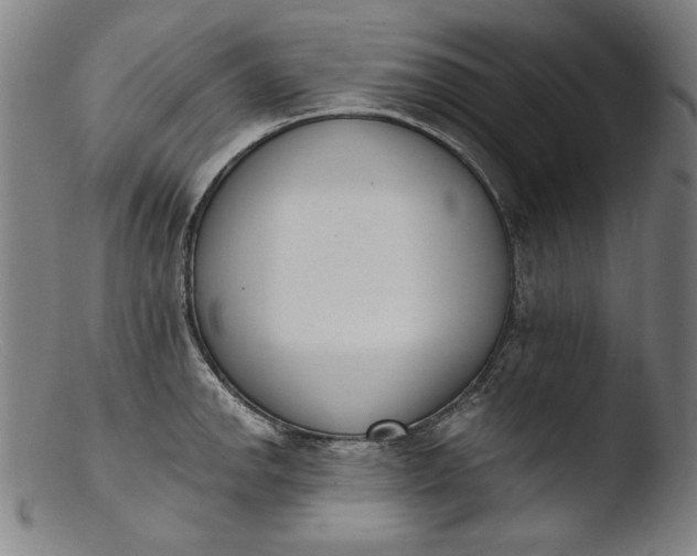 X0000103401142200809261614