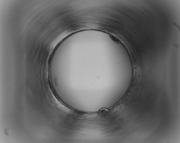 X0000103401143200809261614