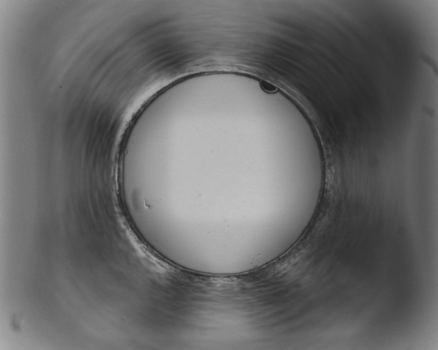 X0000103401144200809261614