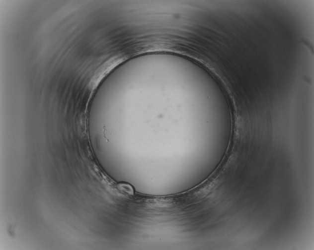 X0000103401145200809261614