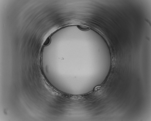 X0000103401146200809261614