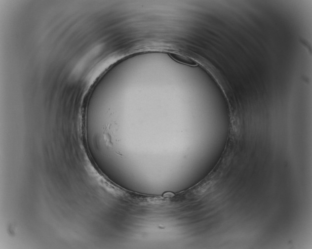 X0000103401147200809261614