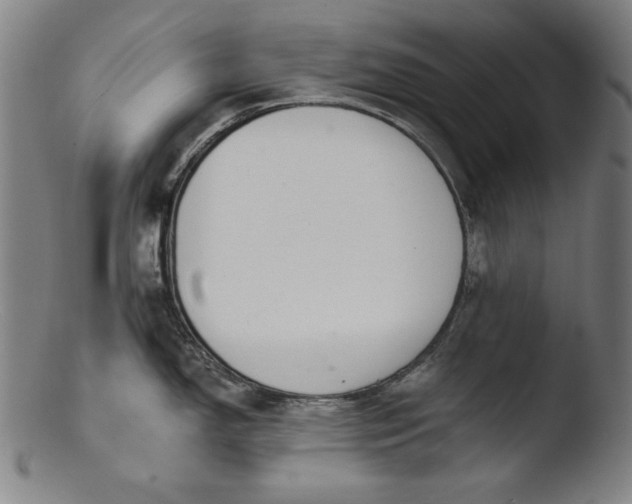 X0000103401150200809261614