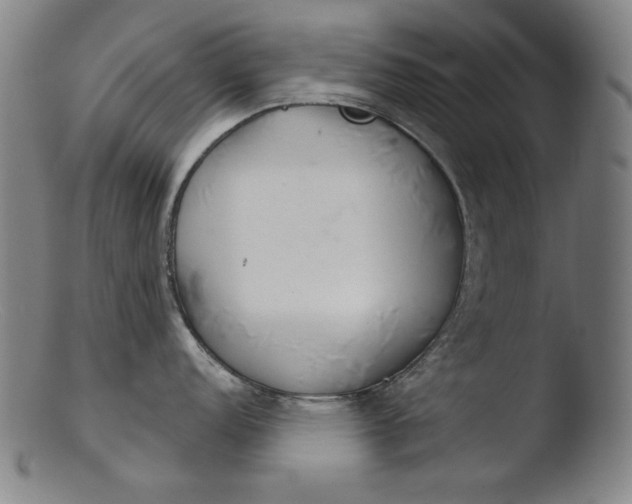 X0000103401152200809261614