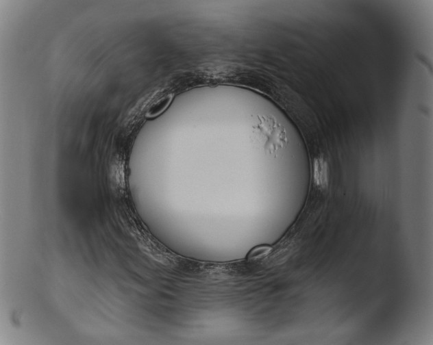 X0000103401155200809261613