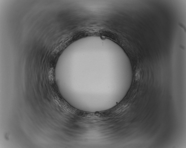 X0000103401156200809261613