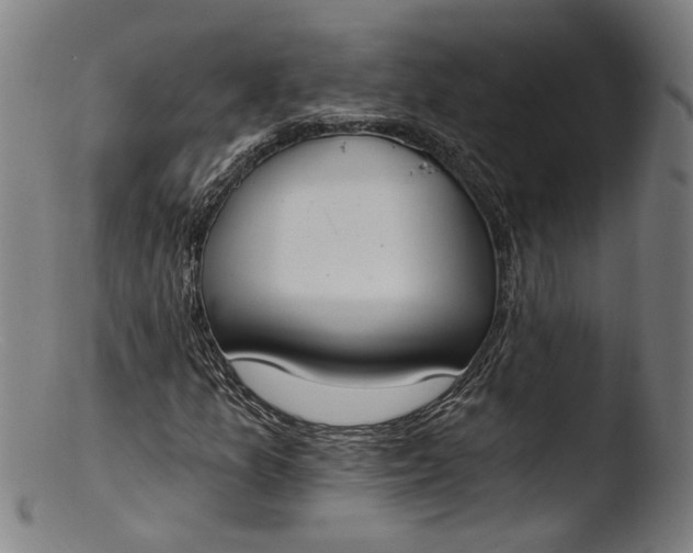 X0000103401157200809261613