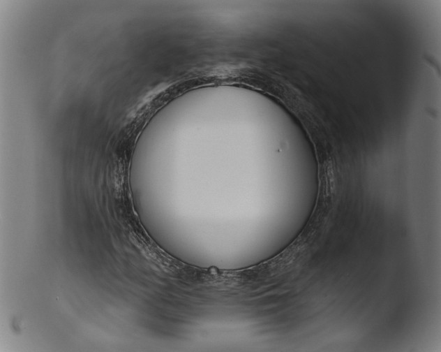 X0000103401158200809261613