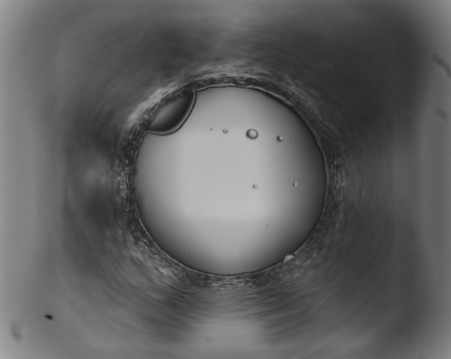 X0000103401159200809261613