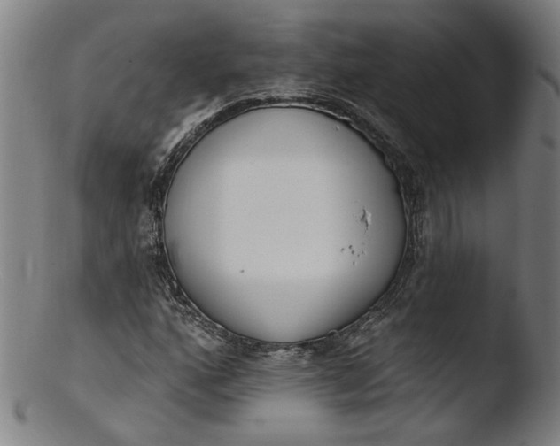 X0000103401160200809261613