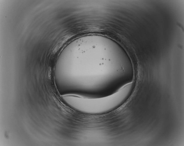 X0000103401161200809261613