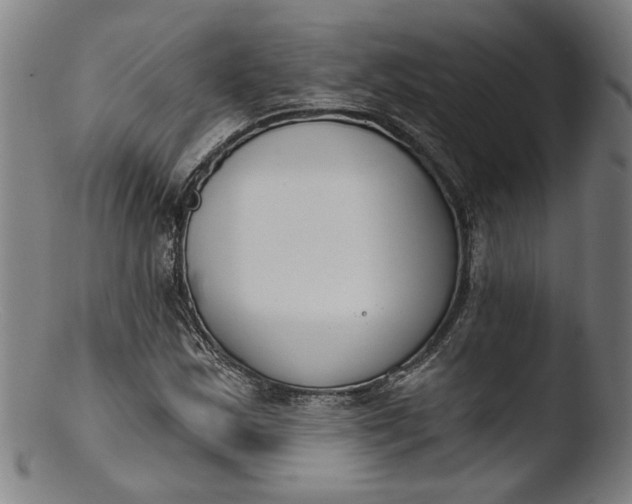 X0000103401163200809261613