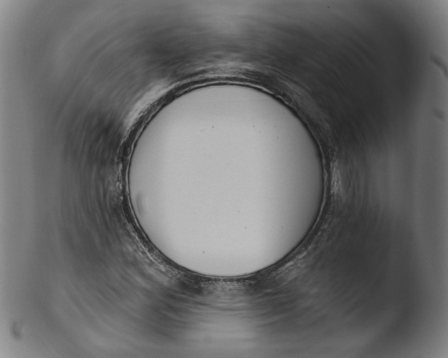 X0000103401164200809261613