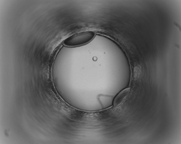 X0000103401165200809261613