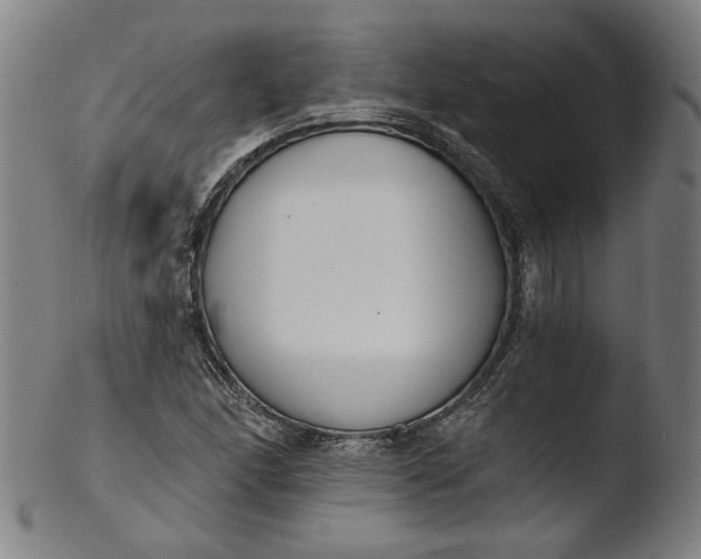 X0000103401166200809261613