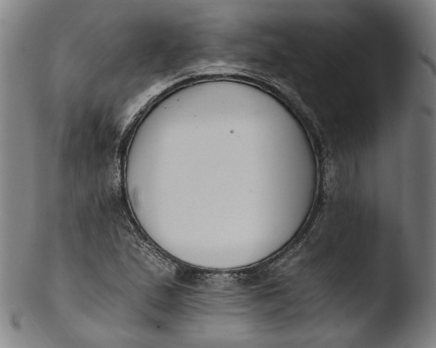 X0000103401167200809261613