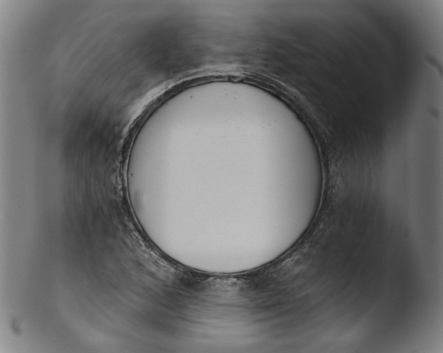 X0000103401168200809261613