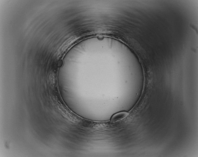 X0000103401169200809261613