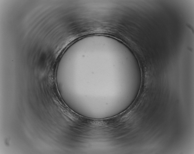 X0000103401170200809261613