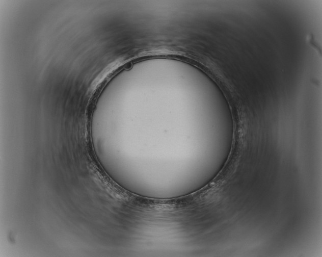 X0000103401173200809261613