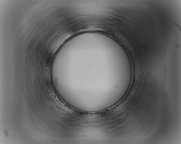 X0000103401177200809261613