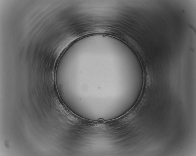 X0000103401178200809261613