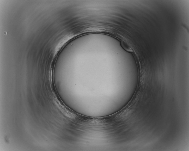 X0000103401179200809261613